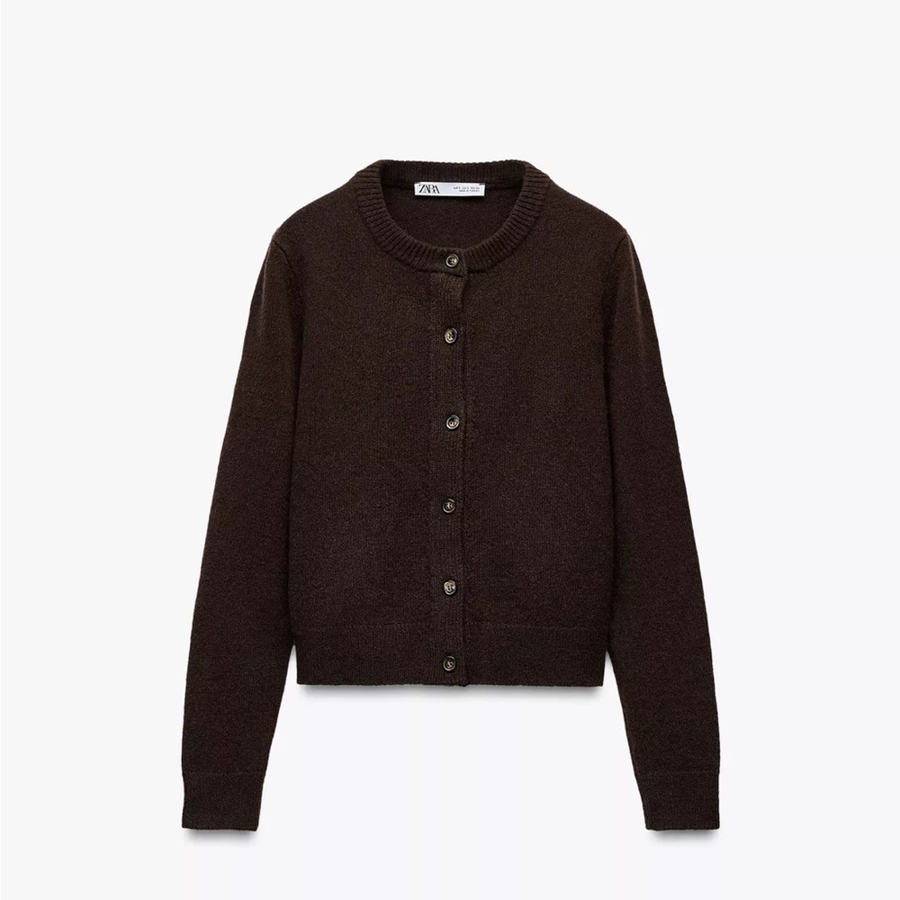 Zara Wool x Cashmere Classic Brown Women's Sweater